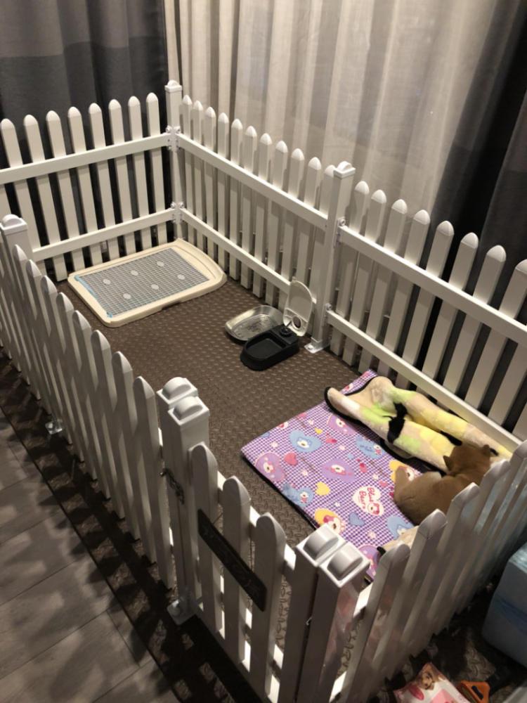 1609137198897440.jpg 寵物3.jpg