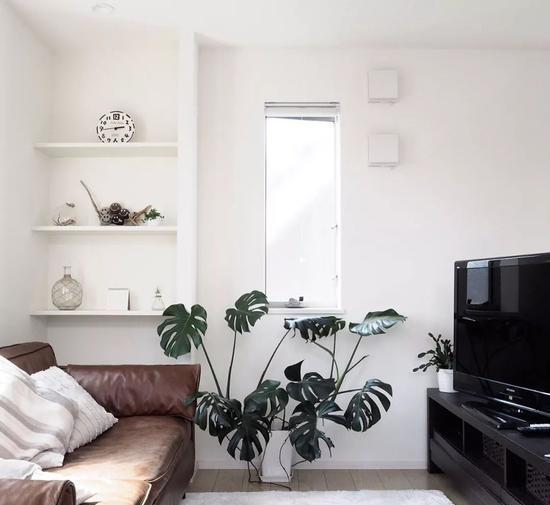 別再OUT了！鹽系和甜系的區別你搞懂了嗎？