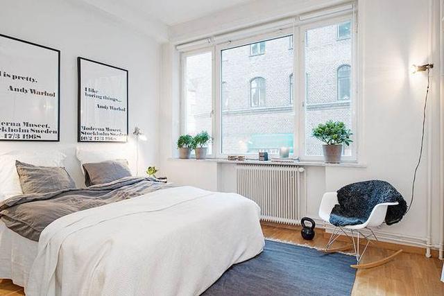 臥室適合放什么植物?三大類植物可能會導(dǎo)致身體不適